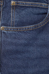 Джинсы LEE 112345393-32/30, темно-синие цена и информация | Мужские джинсы | 220.lv