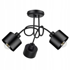 Подвесной светильник Ledlux LX-1126 цена и информация | Настенный/подвесной светильник Eye Spot 11 BL, чёрный | 220.lv
