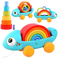 Montessori puzle - Varavīksnes hameleons cena un informācija | Attīstošās rotaļlietas | 220.lv