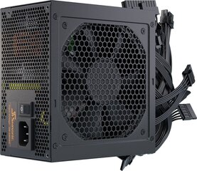 Источник питания SeaSonic FOCUS-GX-650 цена и информация | Блоки питания (PSU) | 220.lv