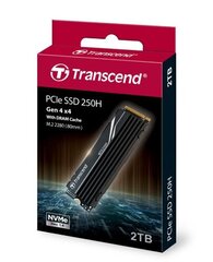 Transcend TS2TMTE250H цена и информация | Внутренние жёсткие диски (HDD, SSD, Hybrid) | 220.lv