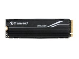 Transcend TS2TMTE250H cena un informācija | Iekšējie cietie diski (HDD, SSD, Hybrid) | 220.lv