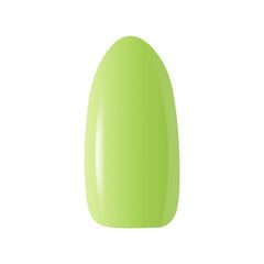 Гель для ногтей Ocho Nails Hybrid rainbow R09 - 5 г цена и информация | Лаки для ногтей, укрепители | 220.lv