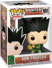 Фигурка Funko Pop! Animation: Hunter X Hunter Gon Freecss, 10 см цена и информация | Атрибутика для игроков | 220.lv