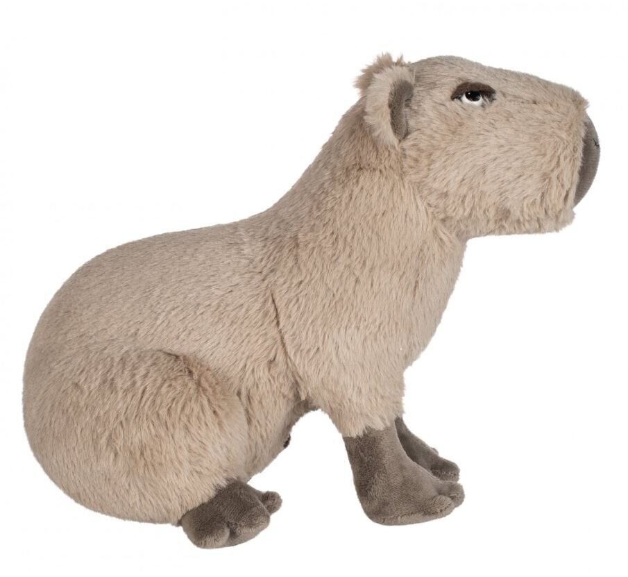 Mīksta plīša rotaļlieta Kapibara 20 cm cena un informācija | Mīkstās (plīša) rotaļlietas | 220.lv