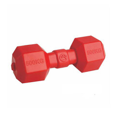Плавающая резиновая игрушка Mr. Strong, красная, 9х19,5 см. цена и информация | Игрушки для собак | 220.lv