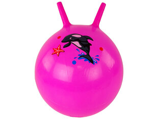 Мяч для прыжков 45 см, розовый с дельфином цена и информация | Игрушки для песка, воды, пляжа | 220.lv
