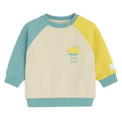 Cool Club džemperis zēniem CCB2503351, dažādu krāsu cena un informācija | Zēnu jakas, džemperi, žaketes, vestes | 220.lv