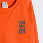 Cool Club džemperis zēniem CCB2520224, oranžs cena un informācija | Zēnu jakas, džemperi, žaketes, vestes | 220.lv