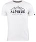 Krekls vīriešiem Under Armour Alpinus Mountains FU18517, balts cena un informācija | Vīriešu T-krekli | 220.lv