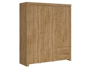 Трехдверный шкаф Holten, коричневый цена и информация | Шкафы | 220.lv