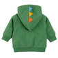 Cool Club džemperis zēniem CCB2500700, zaļš cena un informācija | Zēnu jakas, džemperi, žaketes, vestes | 220.lv