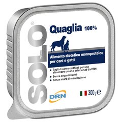DRN Solo Quaglia ar paipalām, 300 g cena un informācija | Konservi suņiem | 220.lv