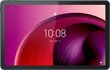 Lenovo Tab M10 Blue ZACT0011SE cena un informācija | Planšetdatori | 220.lv