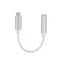 Adapteris USB-C- jack 3,5mm, Setty цена и информация | Адаптеры и USB разветвители | 220.lv