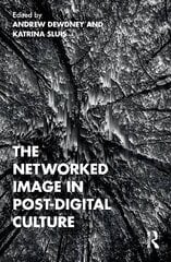 Networked Image in Post-Digital Culture cena un informācija | Sociālo zinātņu grāmatas | 220.lv