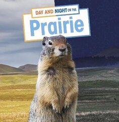 Day and Night on the Prairie цена и информация | Книги для подростков и молодежи | 220.lv