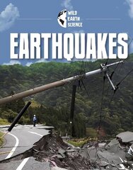 Earthquakes цена и информация | Книги для подростков и молодежи | 220.lv