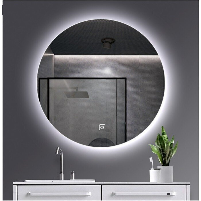 Spogulis Euroliux LDH1025, sudrabains цена и информация | Vannas istabas spoguļi | 220.lv