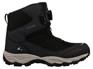 Зимние ботинки Viking Bjork High GTX BOA, черные цена и информация | Детская зимняя обувь | 220.lv
