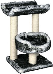 Nagu asināmais kaķiem Trixie Isaba, 62 cm, melns/balts цена и информация | Когтеточки | 220.lv