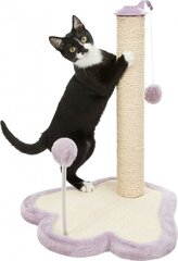 Когтеточка для кошек на подставке Trixie Junior, 40x38x50 см цена и информация | Когтеточки | 220.lv