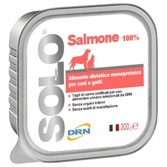 DRN Solo Salmonesu lasis, 300 g cena un informācija | Konservi suņiem | 220.lv