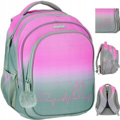 Skolas mugursoma Starpak Ombre Kitty 486387, 43x35x21 cm цена и информация | Школьные рюкзаки, спортивные сумки | 220.lv