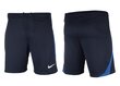 Vīriešu šorti Nike Dri-FIT Strike 23 DR2314 451, zili цена и информация | Sporta apģērbs vīriešiem | 220.lv