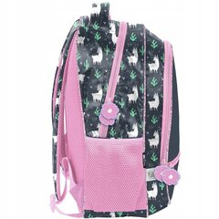 Skolas mugursoma Paso Lama PP23LA-260, 41x31x15 cm цена и информация | Школьные рюкзаки, спортивные сумки | 220.lv