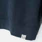 Cool Club džemperis zēniem CCB2520225, zils cena un informācija | Zēnu jakas, džemperi, žaketes, vestes | 220.lv