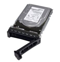 Dell 400-AMUI цена и информация | Внутренние жёсткие диски (HDD, SSD, Hybrid) | 220.lv