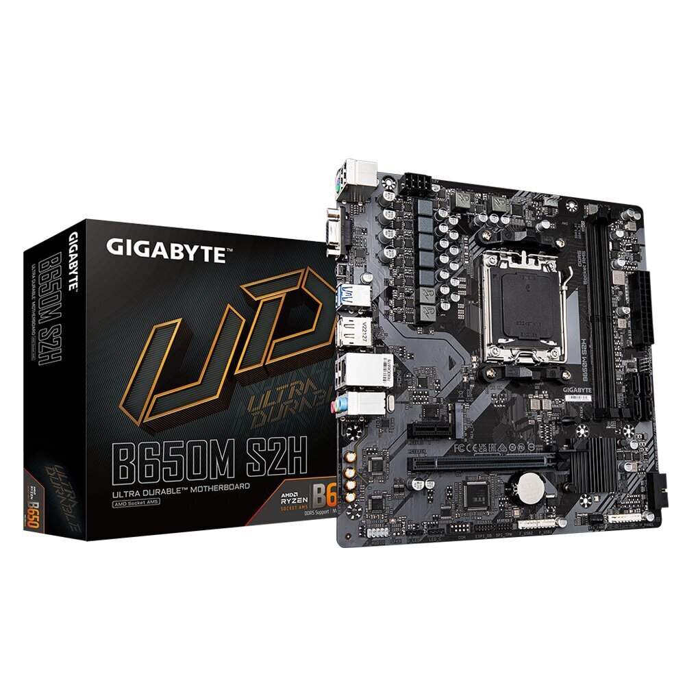 Gigabyte B650M DS2H cena un informācija | Mātesplates | 220.lv