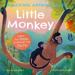 Amazing Animal Tales: Little Monkey 1 цена и информация | Книги для малышей | 220.lv