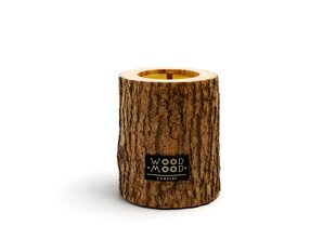 Svece ar skujkoku ēteriskajām eļļām WoodMood Rocky Original Coniferous, 13 cm cena un informācija | Sveces un svečturi | 220.lv