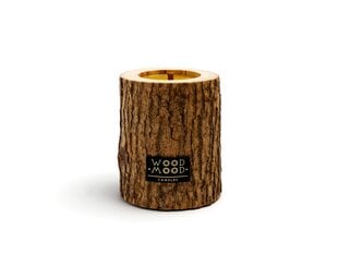 Svece ar skujkoku ēteriskajām eļļām WoodMood Rocky Compact Coniferoussvece, 8,5 cm cena un informācija | Sveces un svečturi | 220.lv