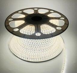 LED lente Tamoline, 50m cena un informācija | LED lentes | 220.lv