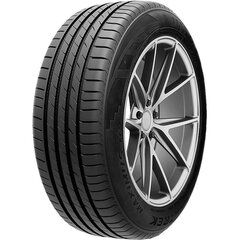 MAXTREK MAXIMUS M2 225/55R17 101V XL цена и информация | Летняя резина | 220.lv