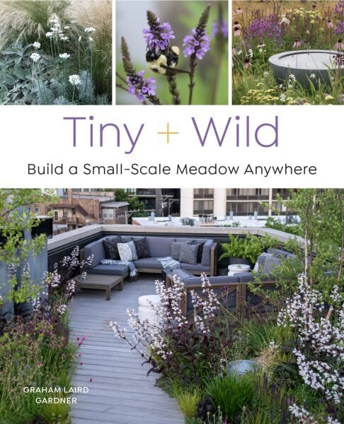 Tiny and Wild: Build a Small-Scale Meadow Anywhere cena un informācija | Grāmatas par dārzkopību | 220.lv