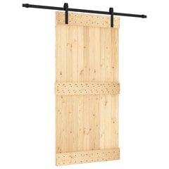 Bīdāmās durvis vidaXL 100x210 cm цена и информация | Межкомнатные двери | 220.lv