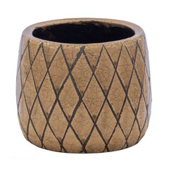 Keramikas puķu pods Shine Wyber, 11 x 14,5 cm cena un informācija | Puķu podi | 220.lv