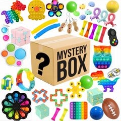 Таинственная коробка MYSTERY BOX, 10 шт. цена и информация | Развивающие игрушки | 220.lv