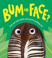 Bum or Face цена и информация | Книги для подростков и молодежи | 220.lv