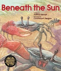 Beneath the Sun цена и информация | Книги для подростков  | 220.lv