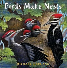 Birds Make Nests цена и информация | Книги для самых маленьких | 220.lv