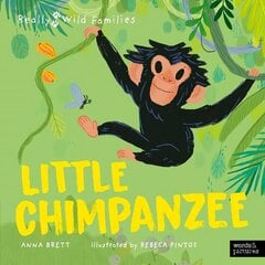 Little Chimpanzee: A Day in the Life of a Baby Chimp cena un informācija | Grāmatas pusaudžiem un jauniešiem | 220.lv