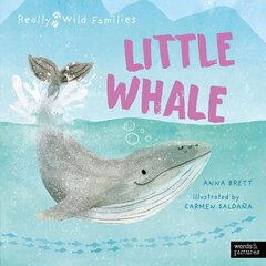 Little Whale: A Day in the Life of a Whale Calf цена и информация | Книги для подростков  | 220.lv