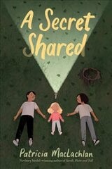 Secret Shared цена и информация | Книги для подростков и молодежи | 220.lv