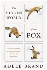 Hidden World of the Fox цена и информация | Книги о питании и здоровом образе жизни | 220.lv
