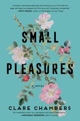 Small Pleasures cena un informācija | Fantāzija, fantastikas grāmatas | 220.lv